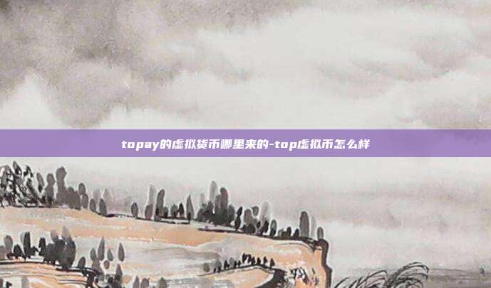 topay的虚拟货币哪里来的-top虚拟币怎么样