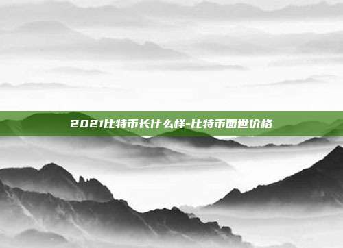 2021比特币长什么样-比特币面世价格