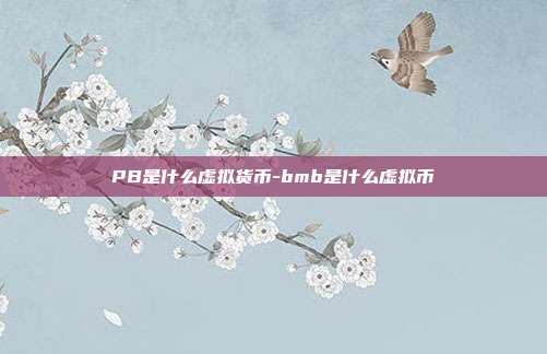 PB是什么虚拟货币-bmb是什么虚拟币