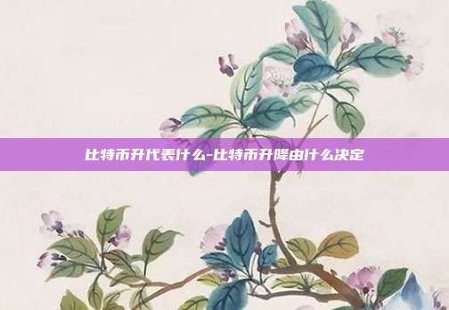 比特币升代表什么-比特币升降由什么决定