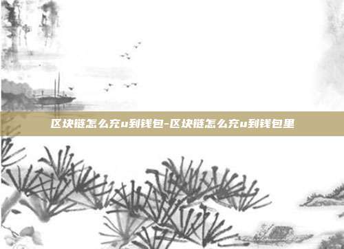 区块链怎么充u到钱包-区块链怎么充u到钱包里