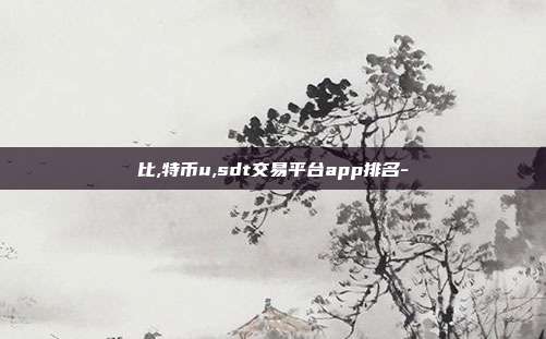 比,特币u,sdt交易平台app排名-