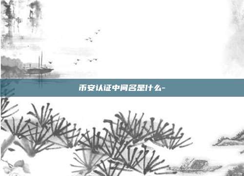 币安认证中间名是什么-