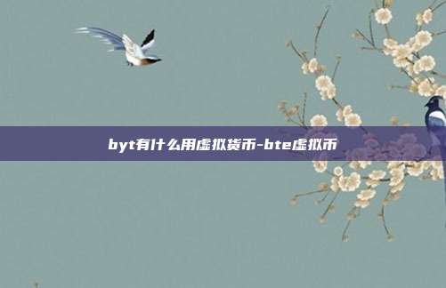 byt有什么用虚拟货币-bte虚拟币