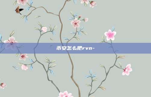 币安怎么把rvn-