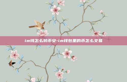 im钱怎么转币安-im钱包里的币怎么交易