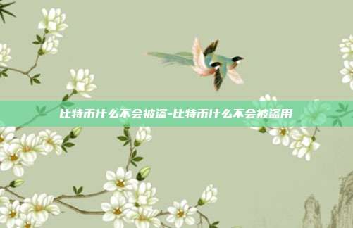 比特币什么不会被盗-比特币什么不会被盗用