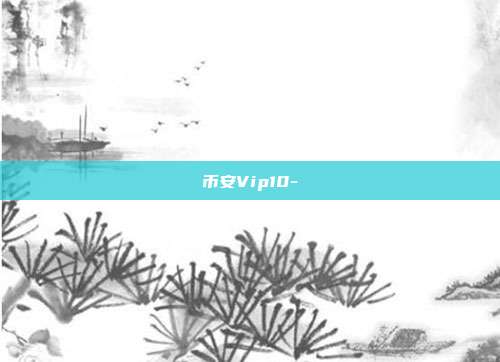 币安Vip10-