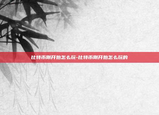 比特币刚开始怎么玩-比特币刚开始怎么玩的