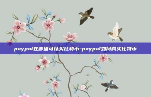 paypal在哪里可以买比特币-paypal如何购买比特币