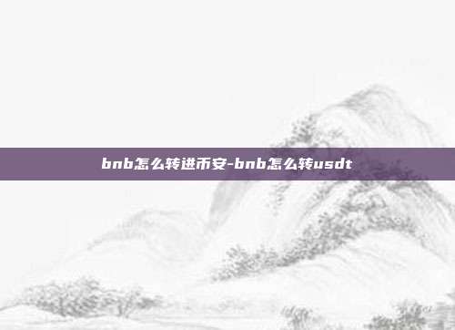 bnb怎么转进币安-bnb怎么转usdt