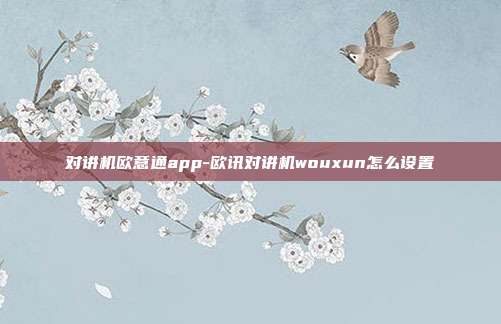 对讲机欧意通app-欧讯对讲机wouxun怎么设置