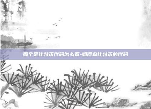 哪个是比特币代码怎么看-如何查比特币的代码