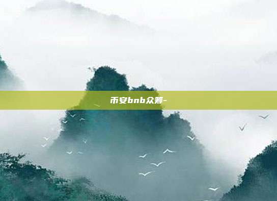 币安bnb众筹-