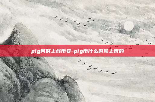 pig何时上线币安-pig币什么时候上市的