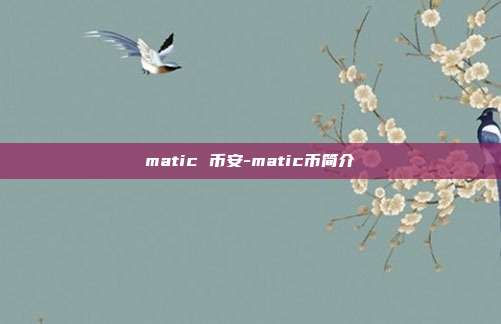 matic 币安-matic币简介