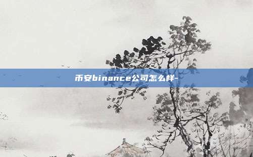 币安binance公司怎么样-