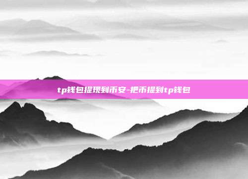 tp钱包提现到币安-把币提到tp钱包