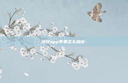 币安app苹果怎么验证-