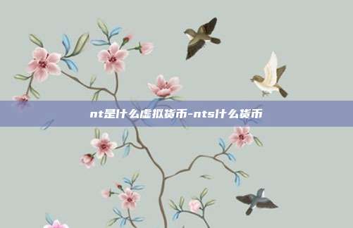 nt是什么虚拟货币-nts什么货币