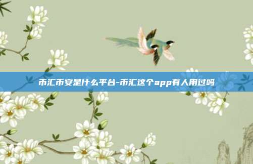 币汇币安是什么平台-币汇这个app有人用过吗