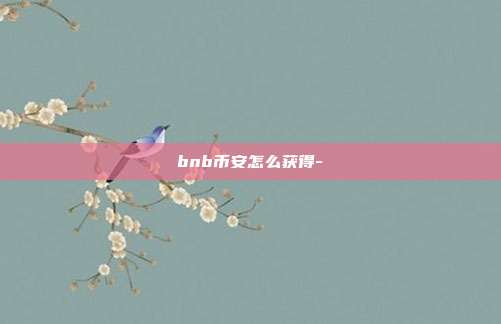 bnb币安怎么获得-