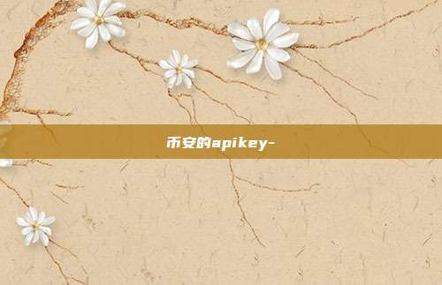 币安的apikey-