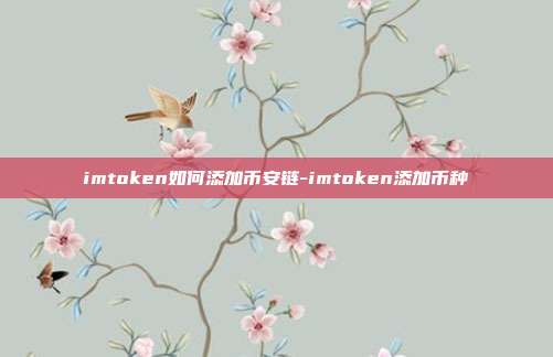 imtoken如何添加币安链-imtoken添加币种