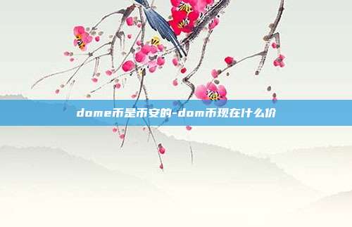 dome币是币安的-dom币现在什么价