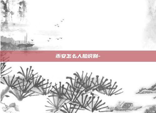 币安怎么人脸识别-